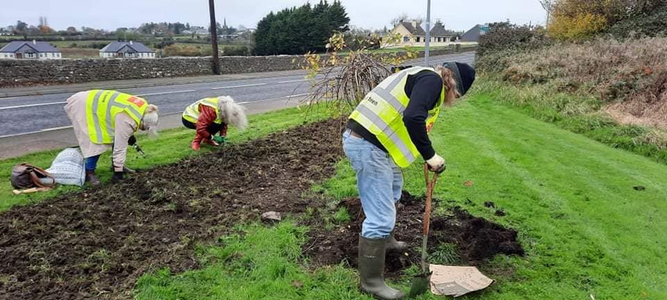 Tidy Towns in action