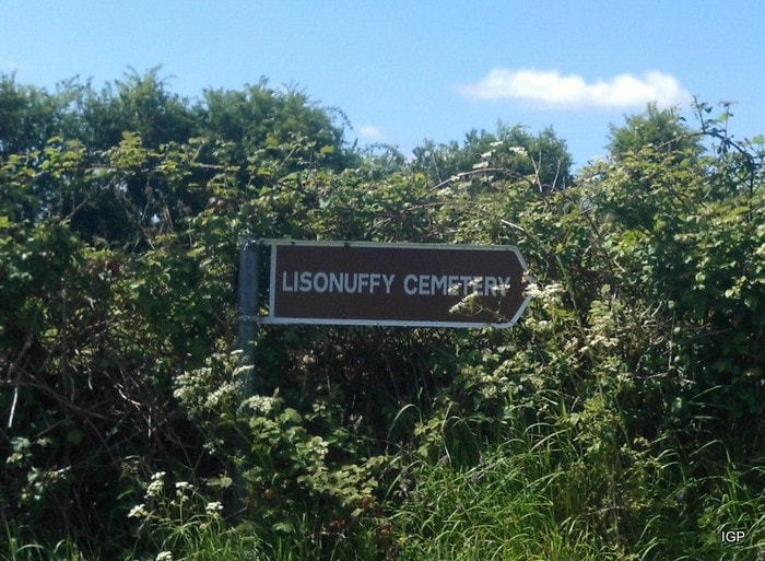 Lisonuffy
