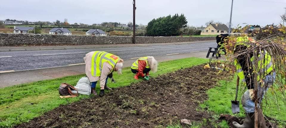 Tidy Towns in action