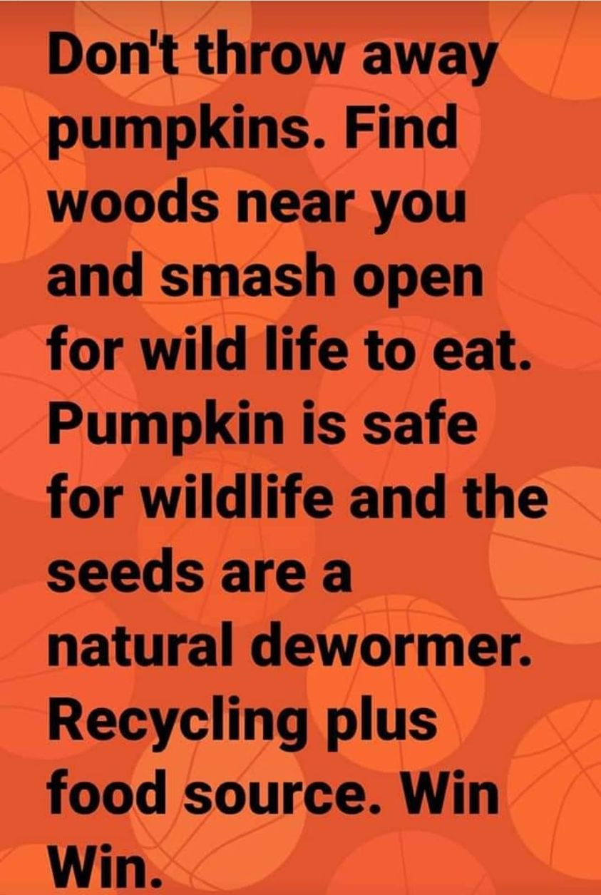 Use your pumpkins 2021