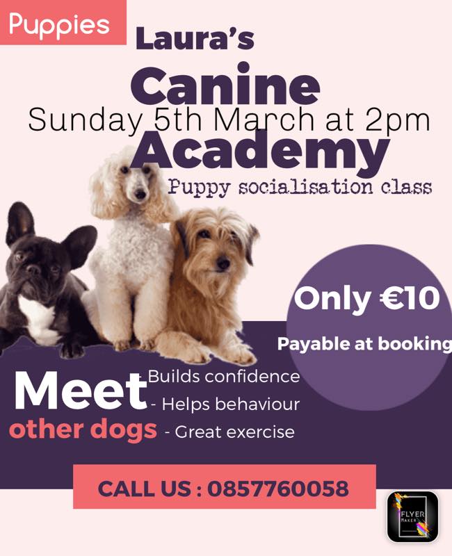 Laura's Canine Academy