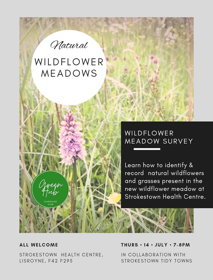 Wildflower Meadow Survey